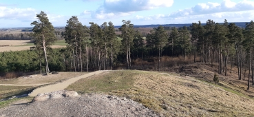 Girnikų šventkalnis