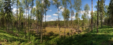 Pustlaukio duobė