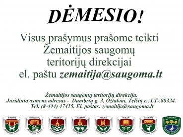 Dėl interesantų prašymų priėmimo