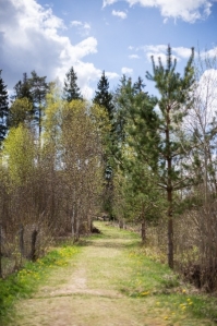 Vainagių piliakalnis