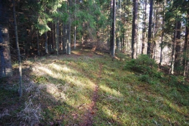 Galvydiškės piliakalnis